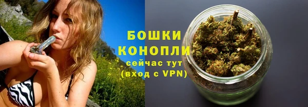 spice Дмитриев