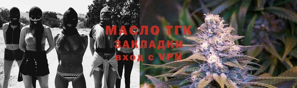 spice Дмитриев