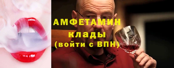 spice Дмитриев