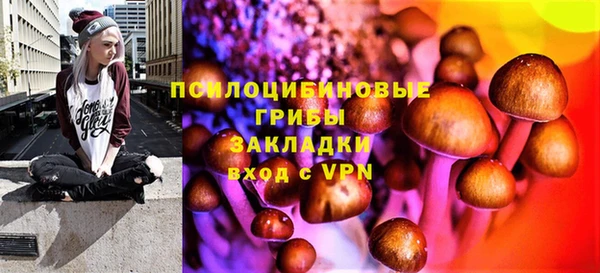 герыч Дмитров