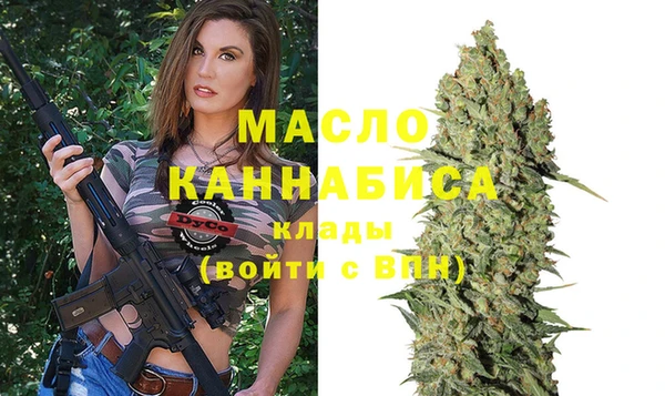 spice Дмитриев