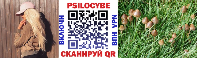 Купить закладки  Новосиль  Галлюциногенные грибы MAGIC MUSHROOMS 